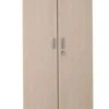 PROREGAL Aktenschrank Beetle | HxBxT 195x92x42 Cm | Silber-Ahorn