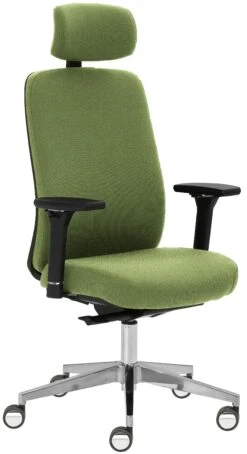 Mayer Sitzmöbel, Drehstuhl 2229, Farngrün, 2229_AV4D_KS_SYM++_XXL_ROB_30613