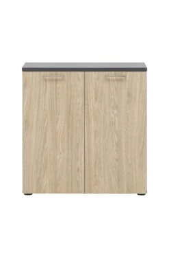 Möbelpartner Aktenschrank Bird | Large | HxBxT 110x65x40 Cm | Buche Von PROREGAL -Büromöbel Förderung bb5d5fb2 e61a 49de a899 b3304be16466 3