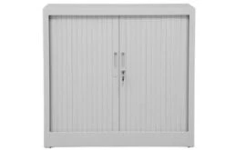 PROREGAL Rollladenschrank Weasel | 2 Ordernhöhen | HxBxT 75x80x46 Cm | Grau