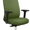 Mayer Sitzmöbel, Drehstuhl 2229, Farngrün, 2229_AV4D_KS_SYM++_POL_30613